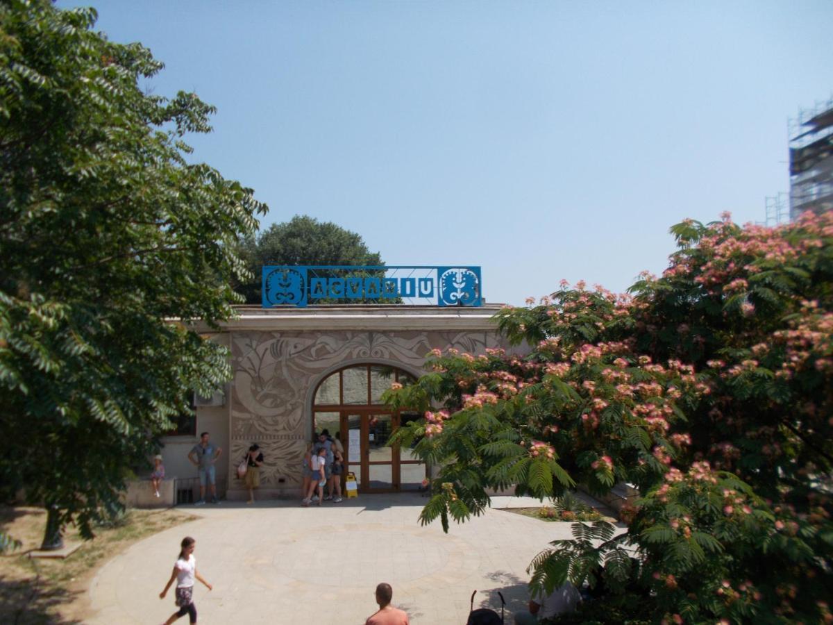 Peninsula-cazino,dalvi
